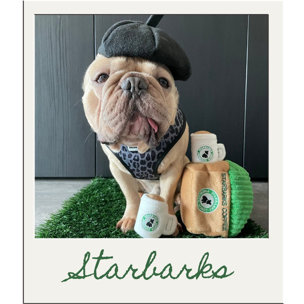 Starbarks Collection