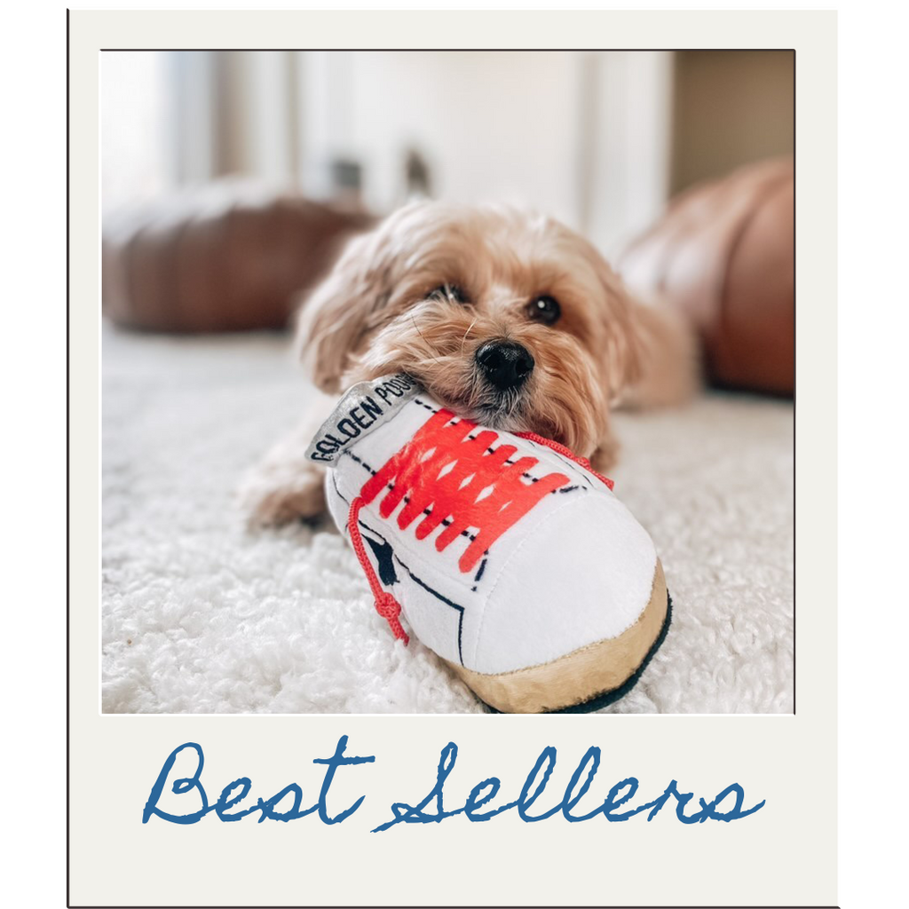 Fancy dog toys shop