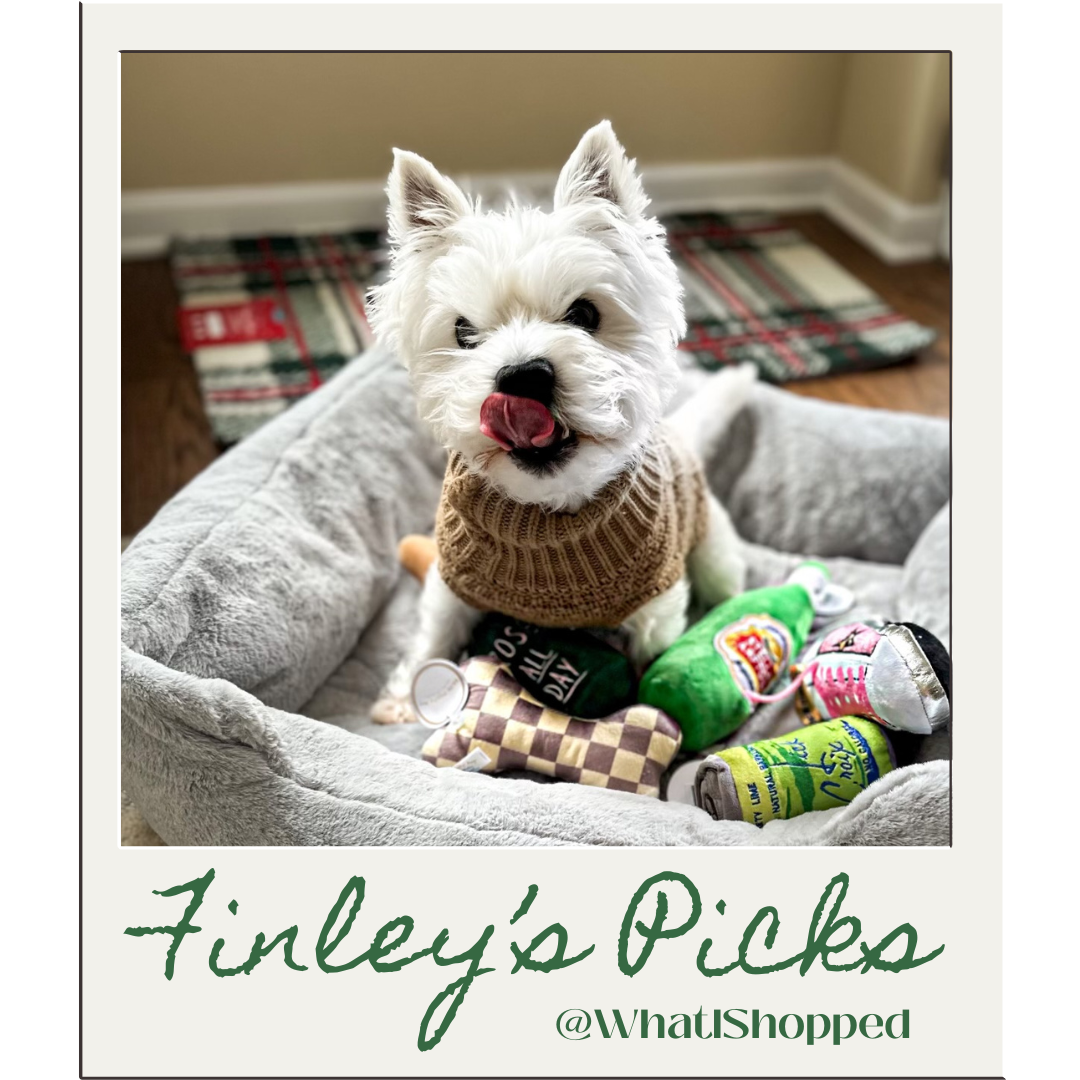 Haute diggity dog wholesale online