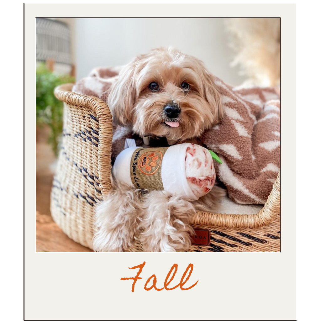 Haute Diggity Dog Fashion Hound Designer Handbags & Bones Collection – Soft  Plush Designer Dog Toys with Squeaker and Fun, Parody Designs from Safe