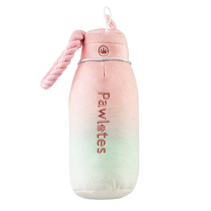 Pawlates Princess Water Bottle