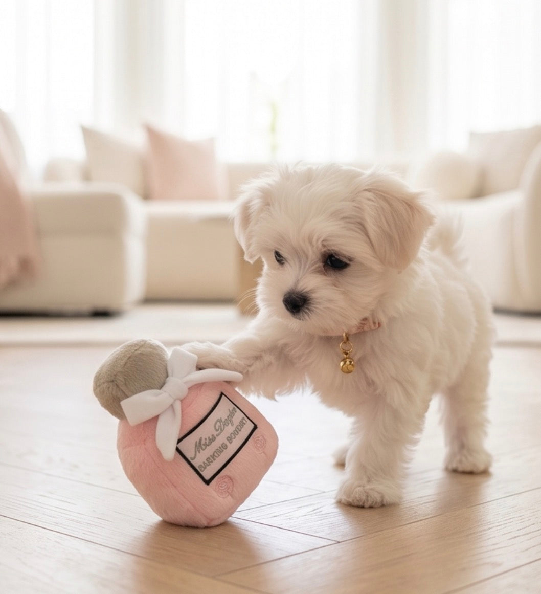 Fashionable Fluff: Parody Designer Plush Dog Toys for Fur-ocious