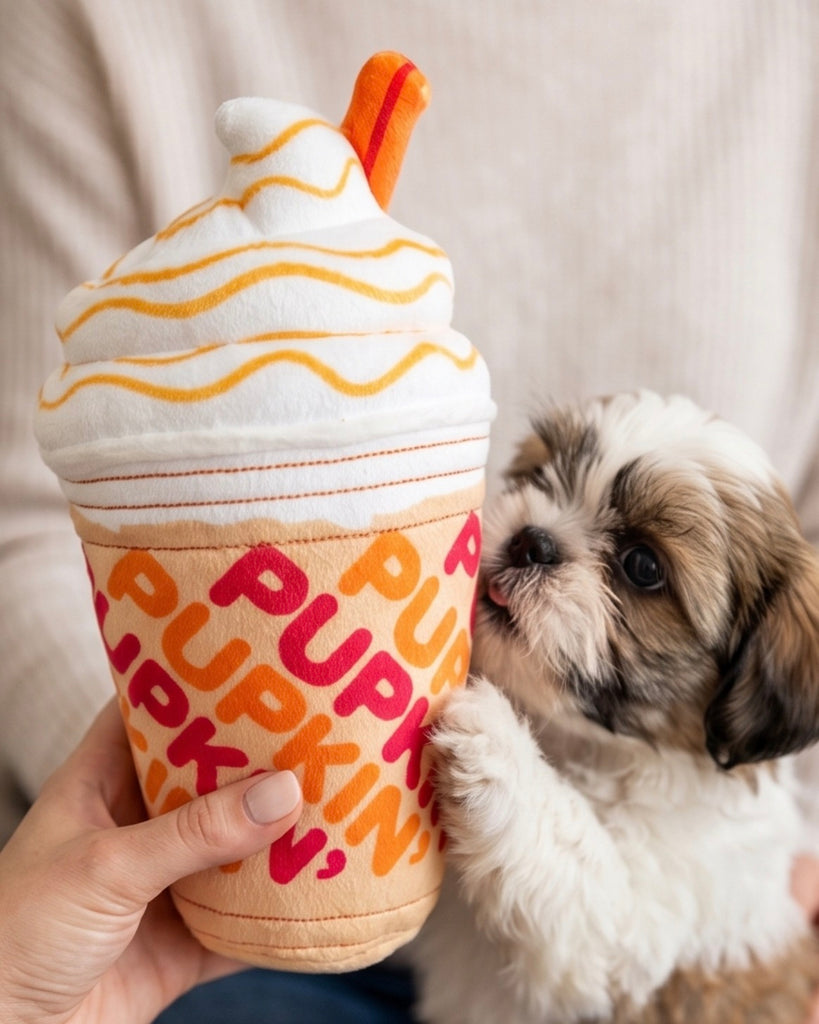 Pupkin' Donuts Iced Coffee – Haute Diggity Dog