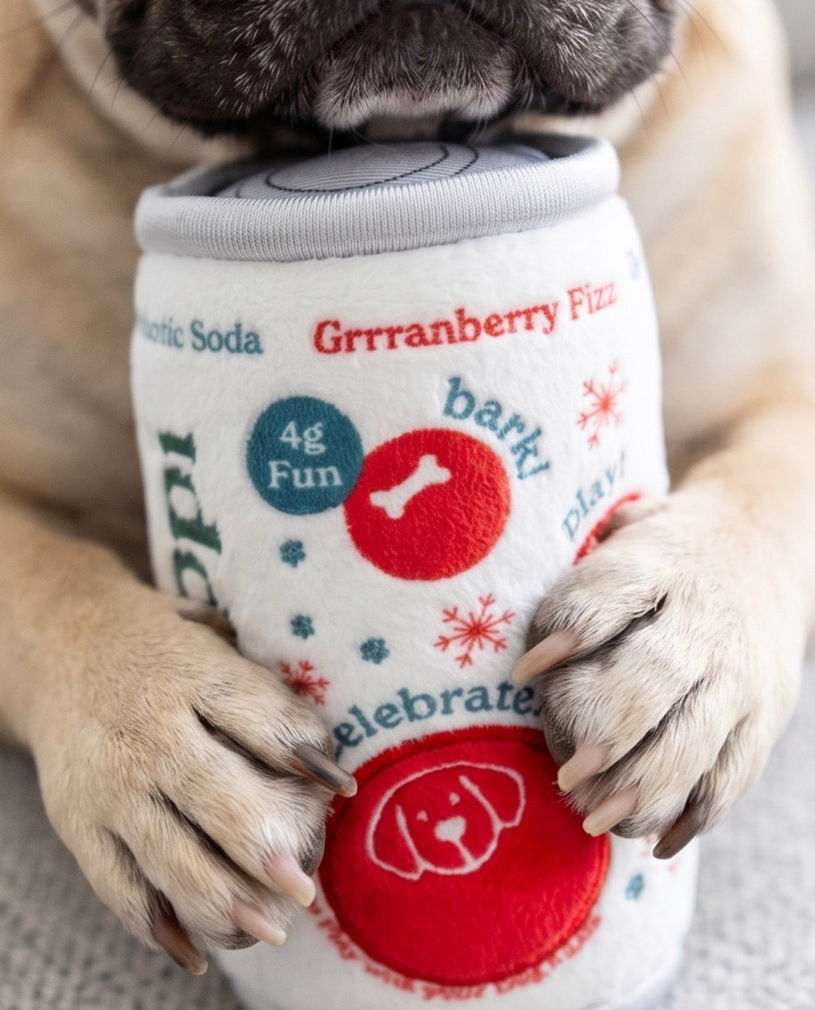 Puppi Grrranberry Fizz Holiday Plush Dog Toy – Haute Diggity Dog